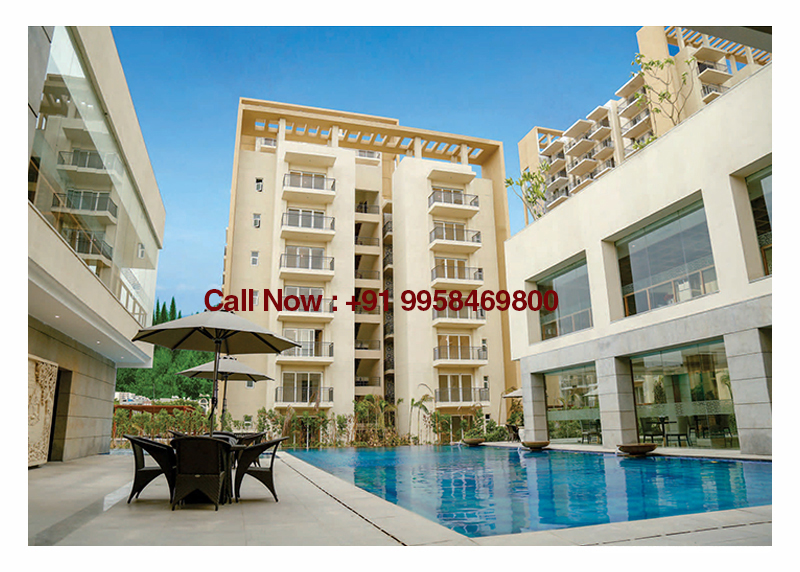 Aanandvilas, Pool Paradise